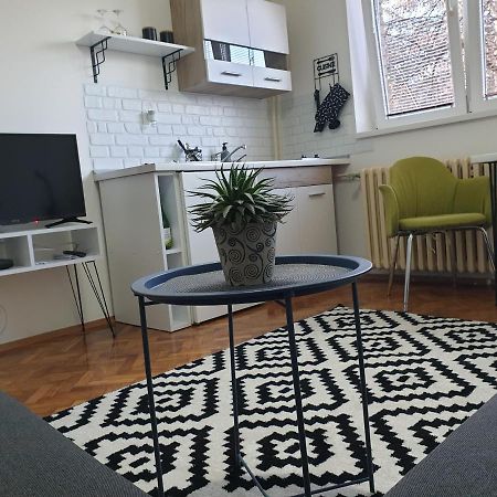 Apartman Park Jagodina-Studio U Centru Grada Free Parking Exterior foto